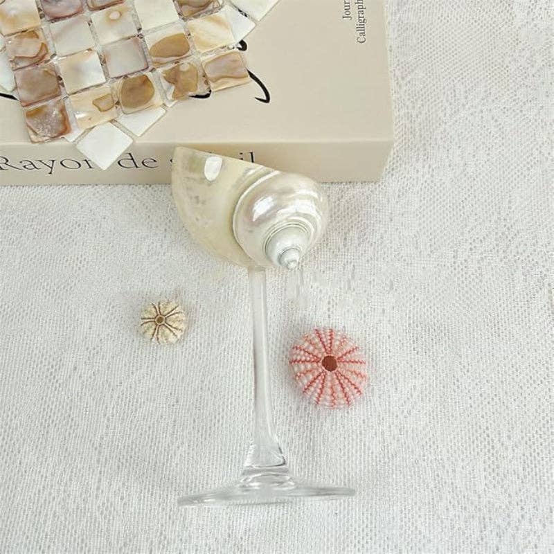 Sea Shell Glasses 4-Piece Set