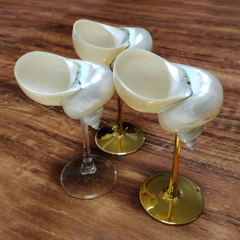 Sea Shell Glasses 4-Piece Set
