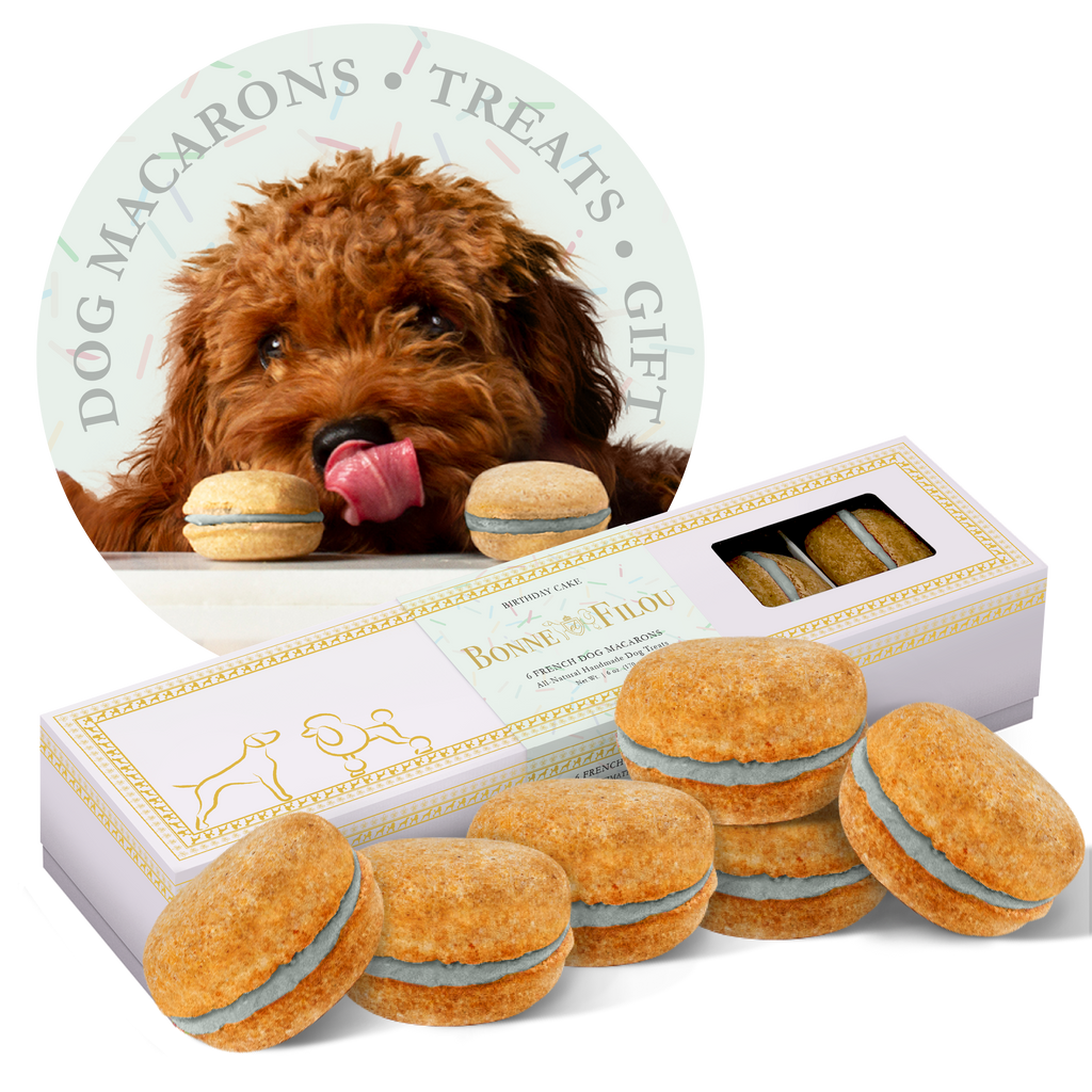 Dog Macarons | Dog Gifts (6 count)