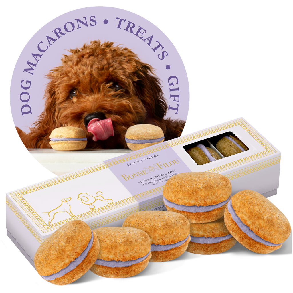 Dog Macarons | Dog Gifts (6 count)