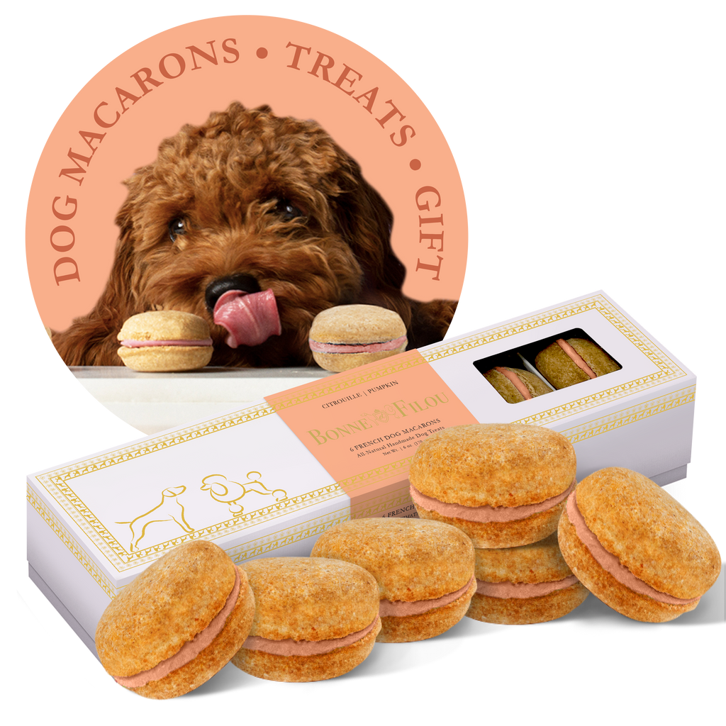 Dog Macarons | Dog Gifts (6 count)