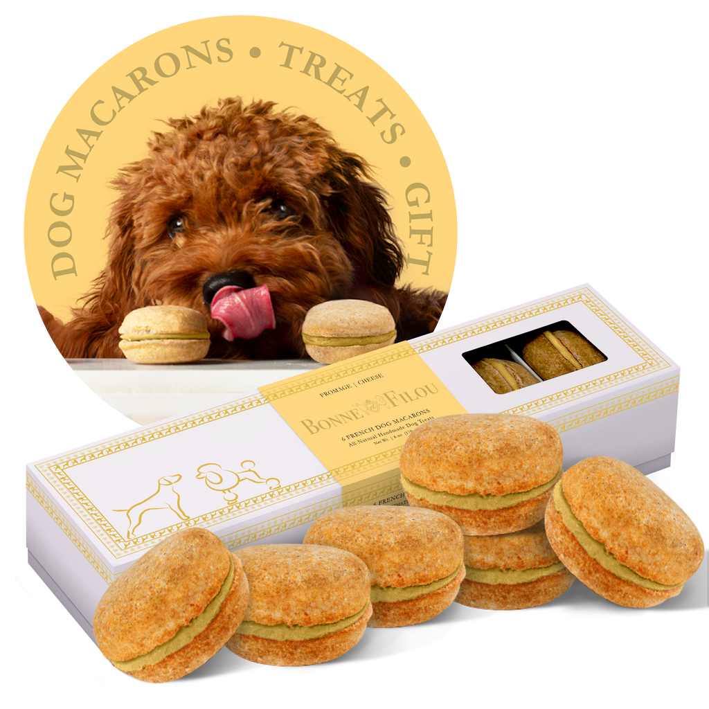 Dog Macarons | Dog Gifts (6 count)