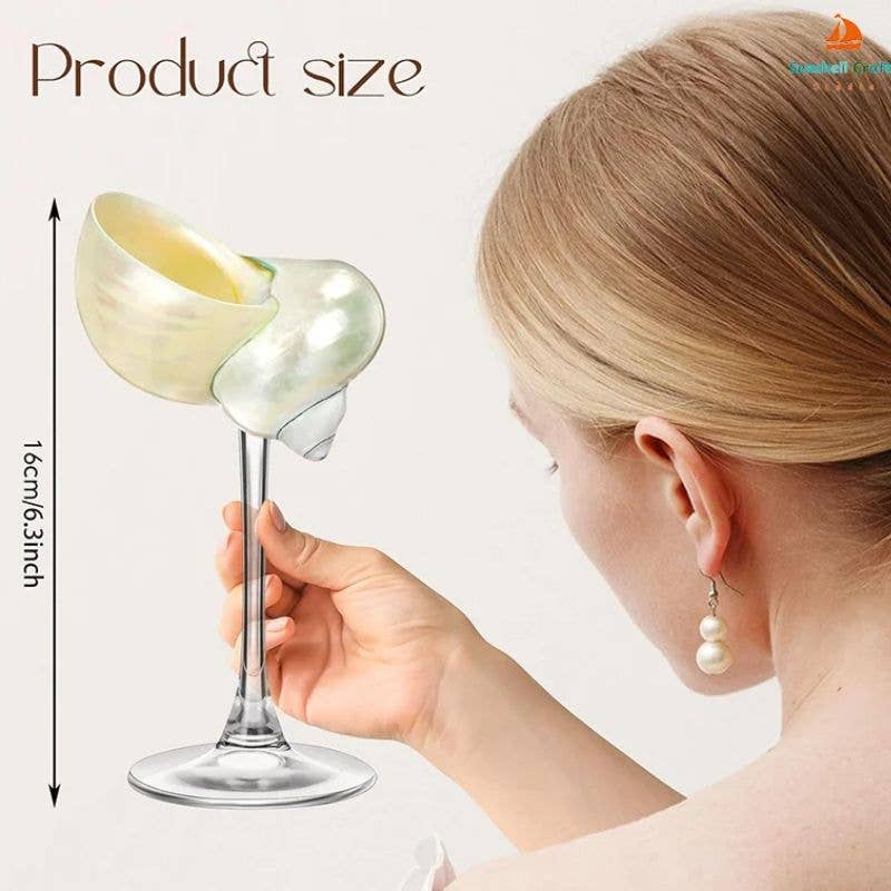 Sea Shell Glasses 4-Piece Set