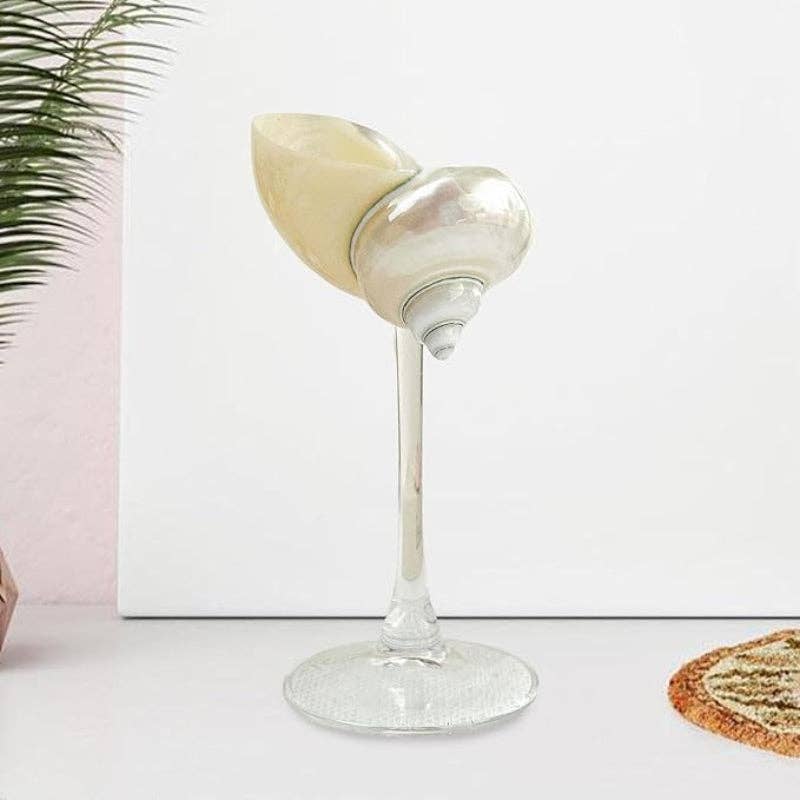 Sea Shell Glasses 4-Piece Set