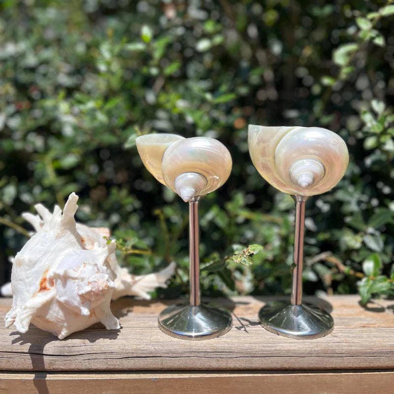 Sea Shell Glasses 4-Piece Set