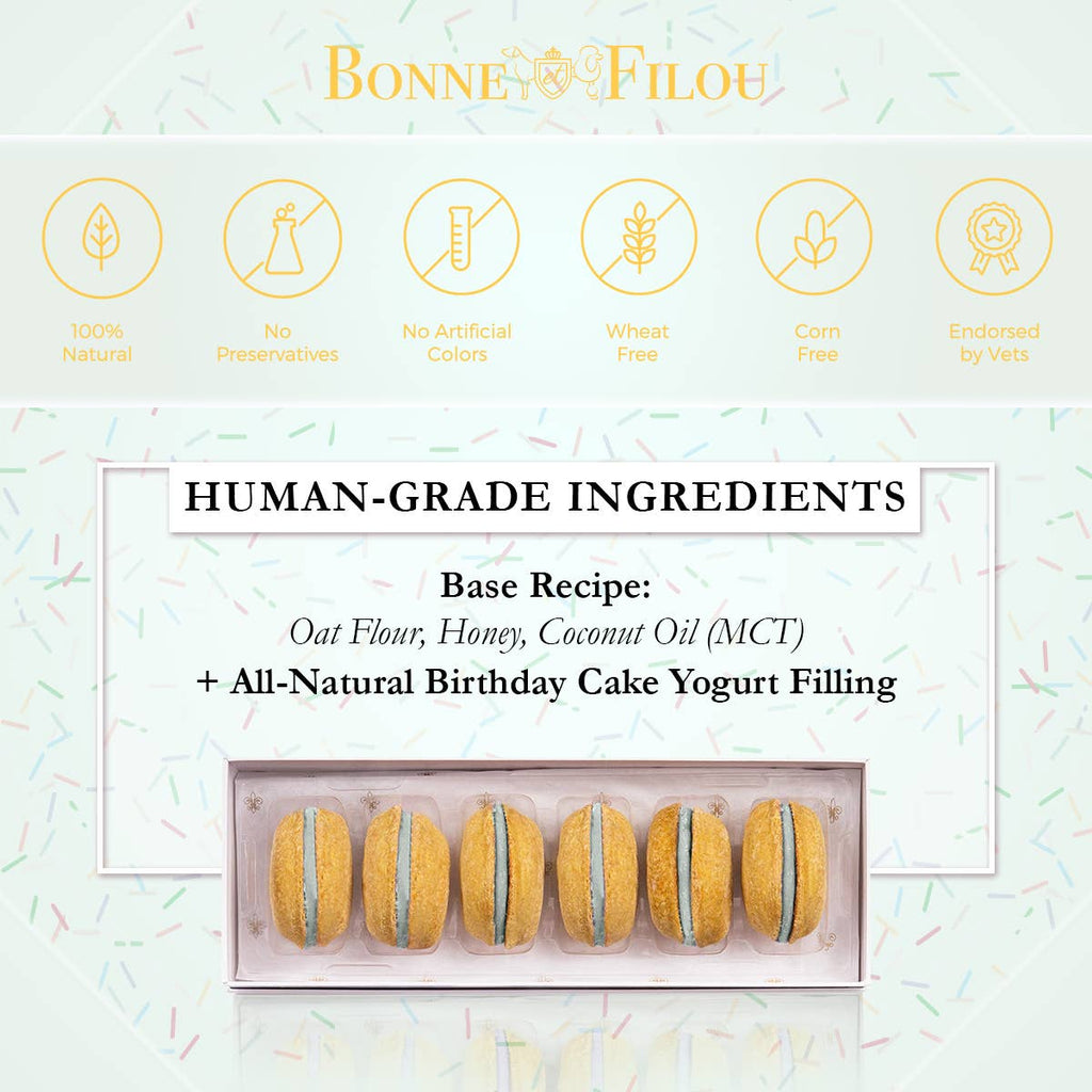Dog Macarons | Dog Gifts (6 count)