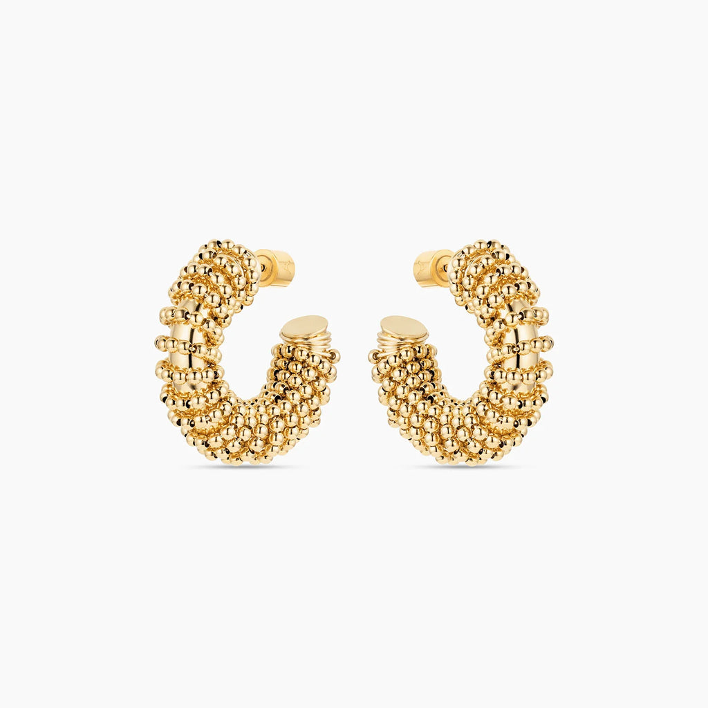 Alejandra Hoops