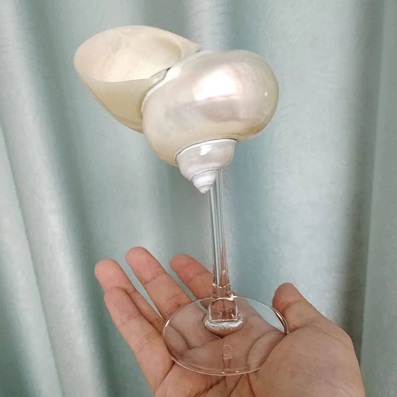 Sea Shell Glasses 4-Piece Set