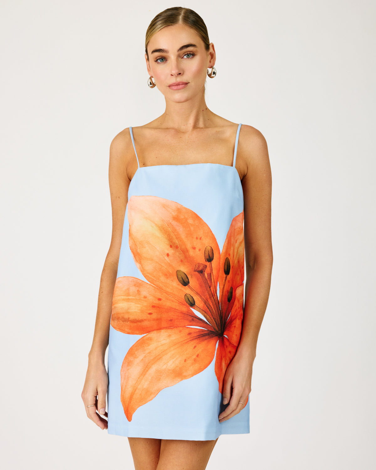 Avah Mini Dress