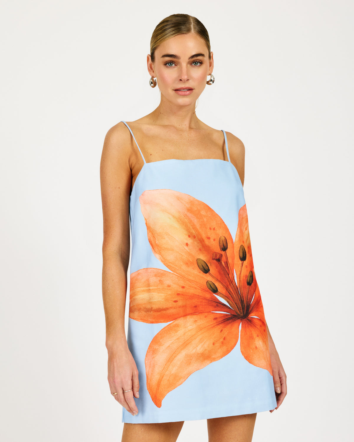 Avah Mini Dress