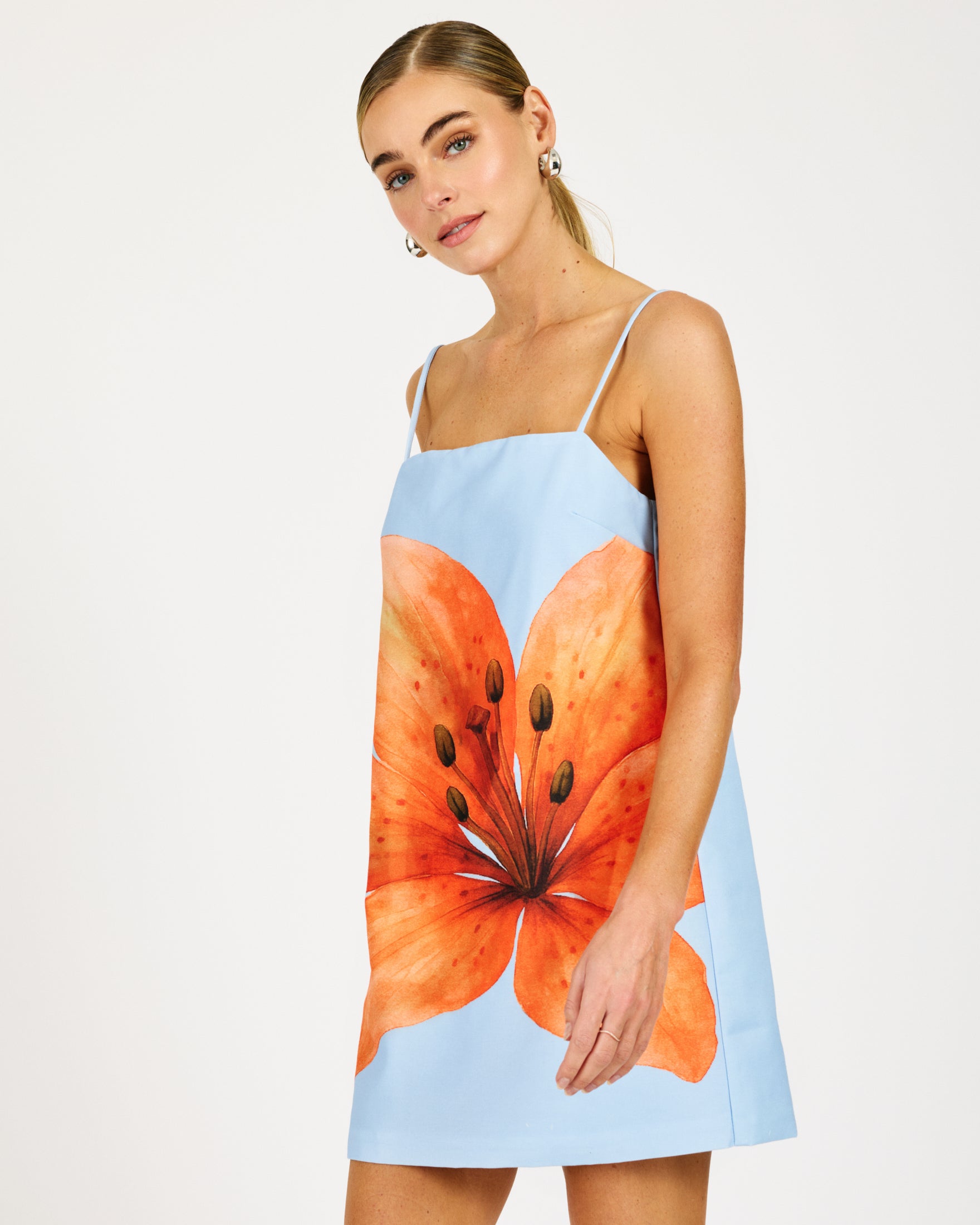 Avah Mini Dress