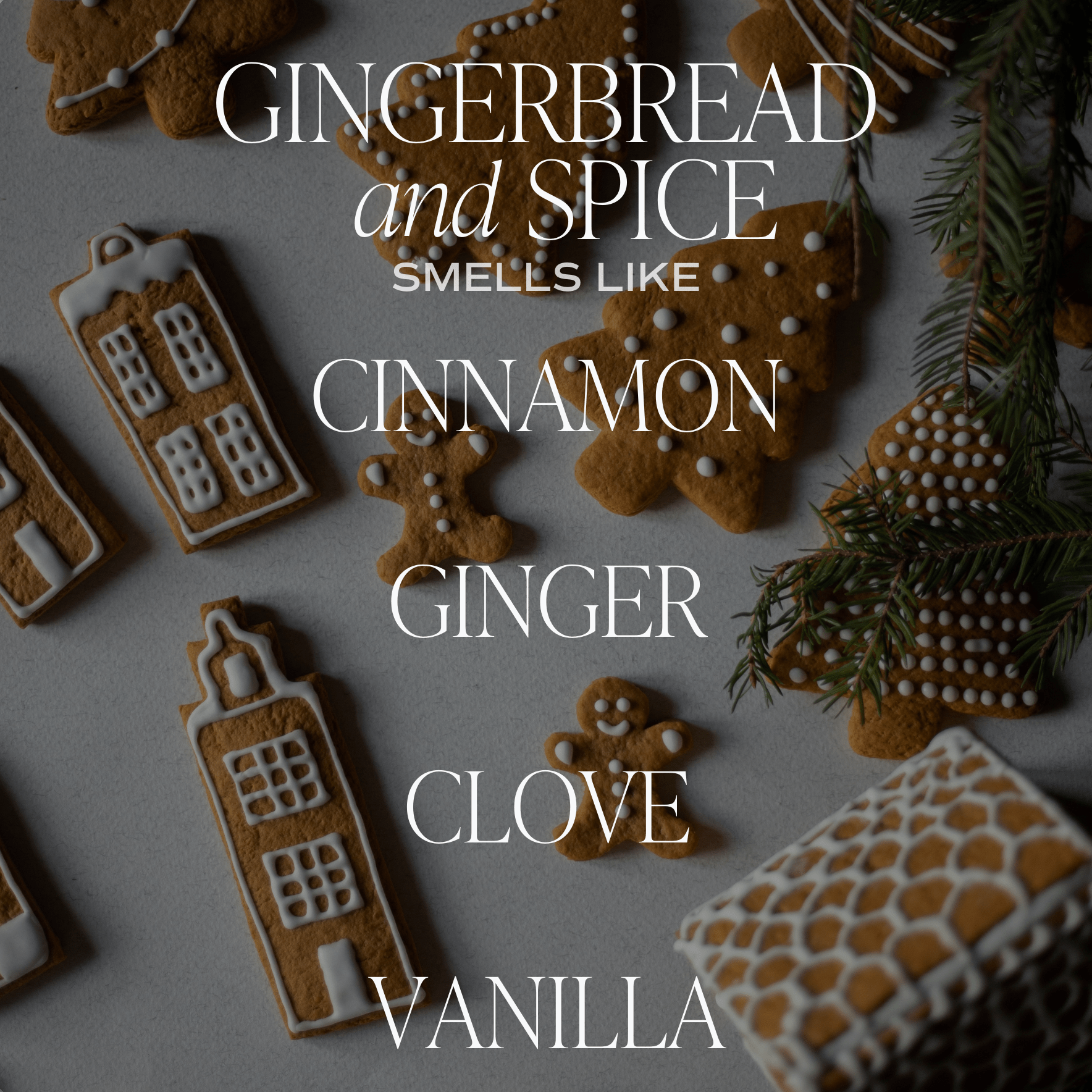 *NEW* Gingerbread and Spice 15 oz Soy Candle, Matte Jar