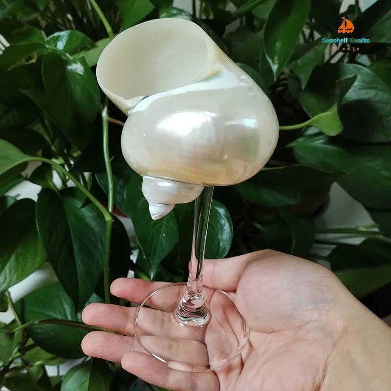 Sea Shell Glasses 4-Piece Set