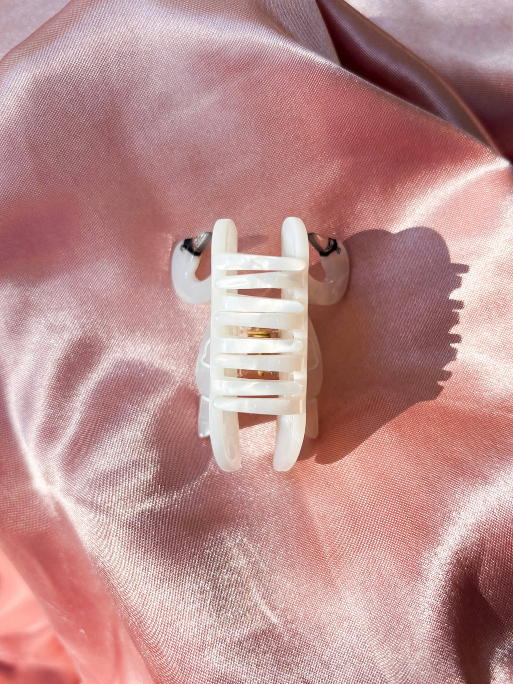 Swan Claw x Onco-Ballet Foundation