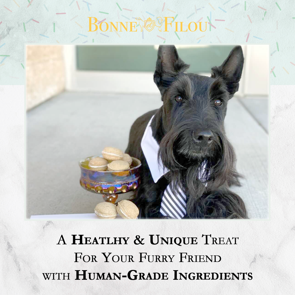 Dog Macarons | Dog Gifts (6 count)