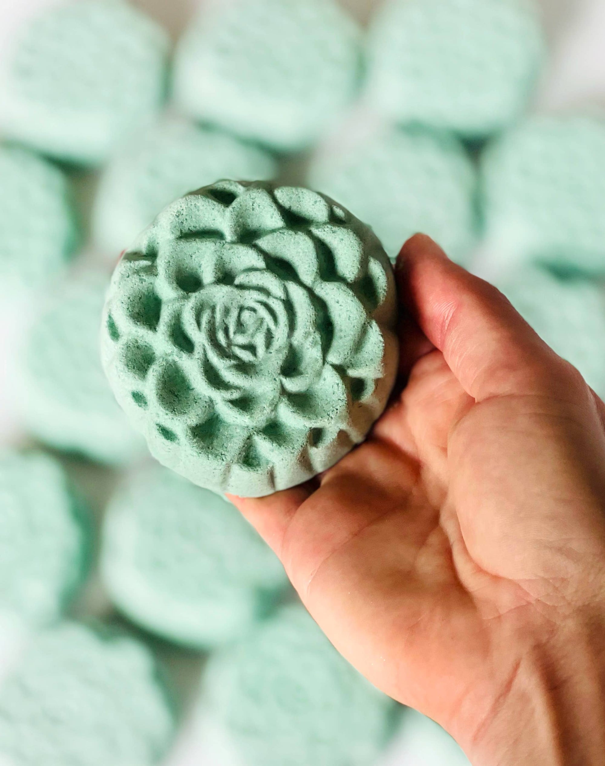 Enchanted Garden SUCCULENT Bath Bomb