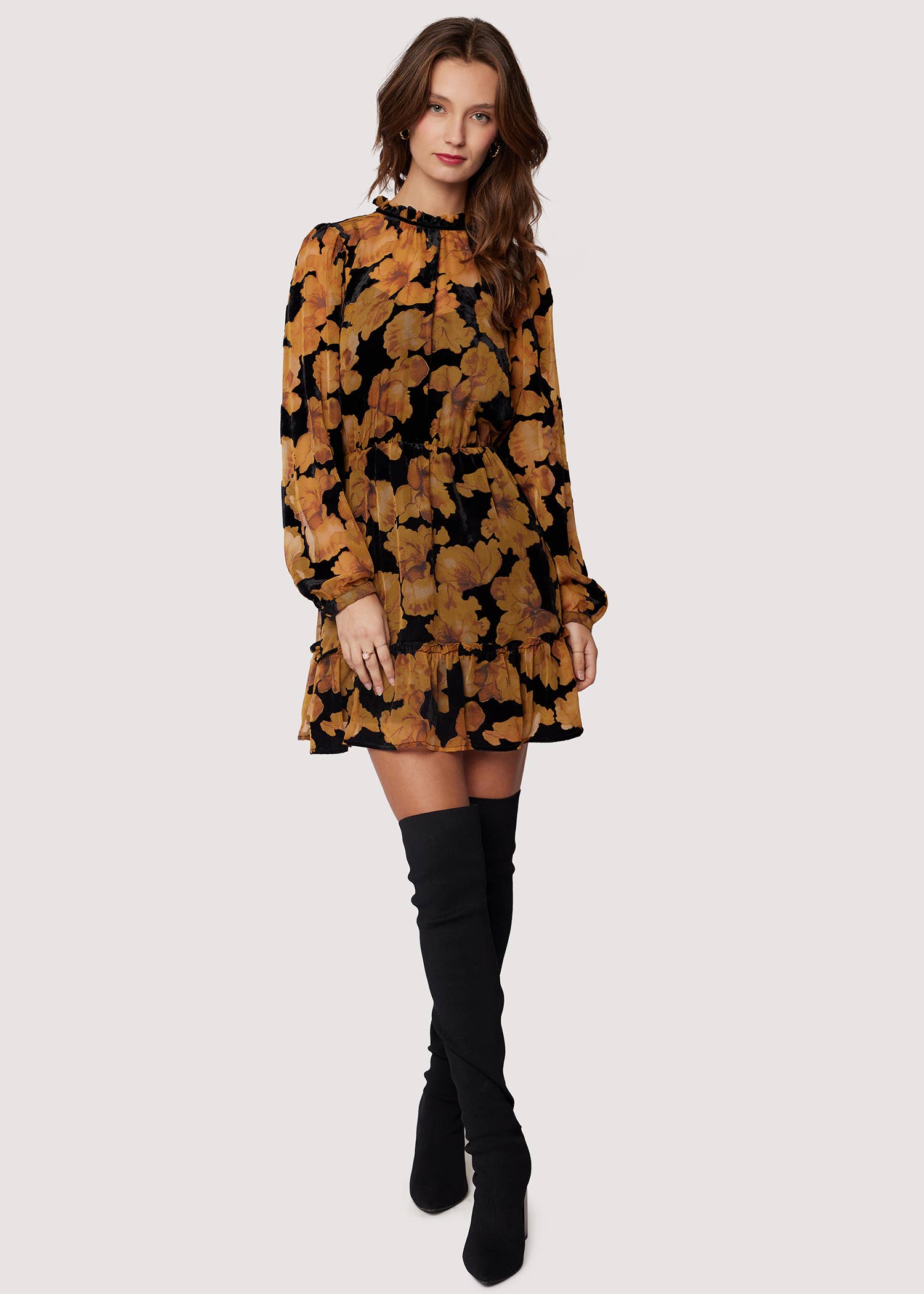 Burnout Velvet Chiffon Mini Dress