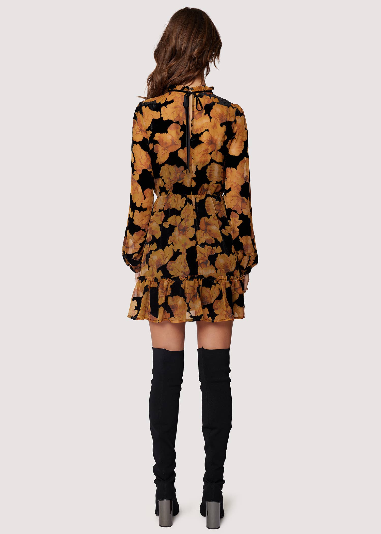 Burnout Velvet Chiffon Mini Dress