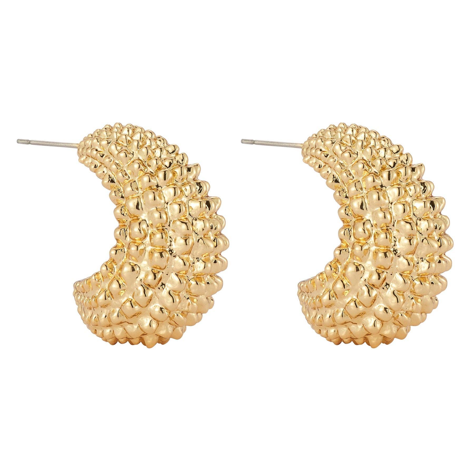 Elisa Hoops