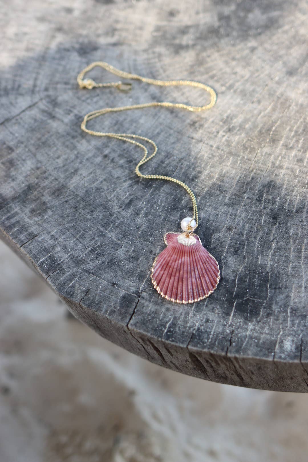 Seashell Necklace