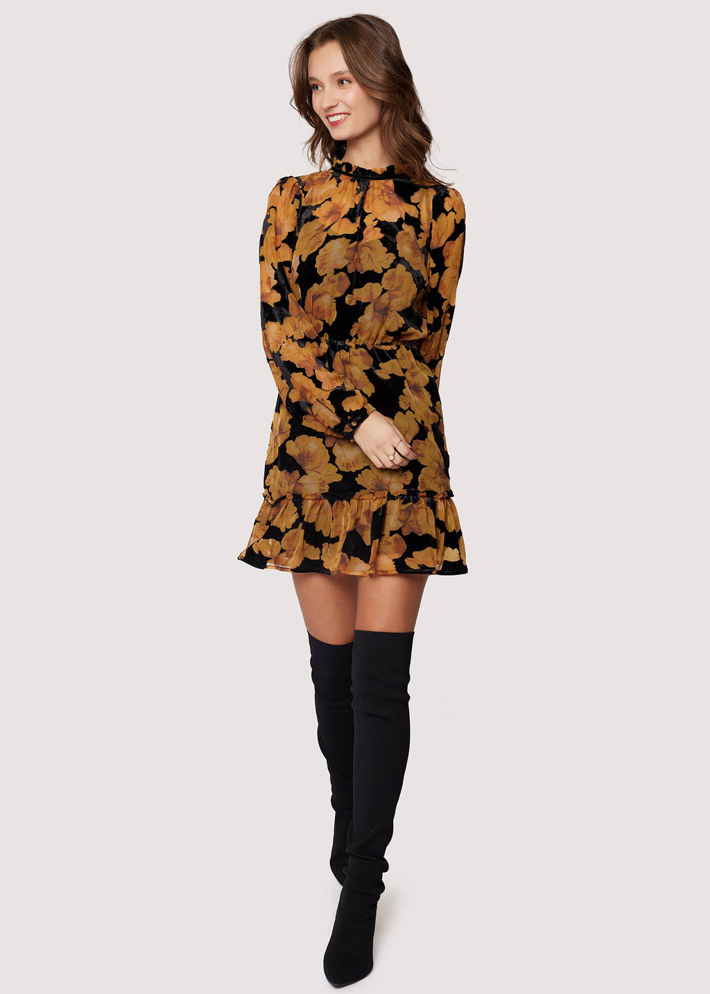 Burnout Velvet Chiffon Mini Dress