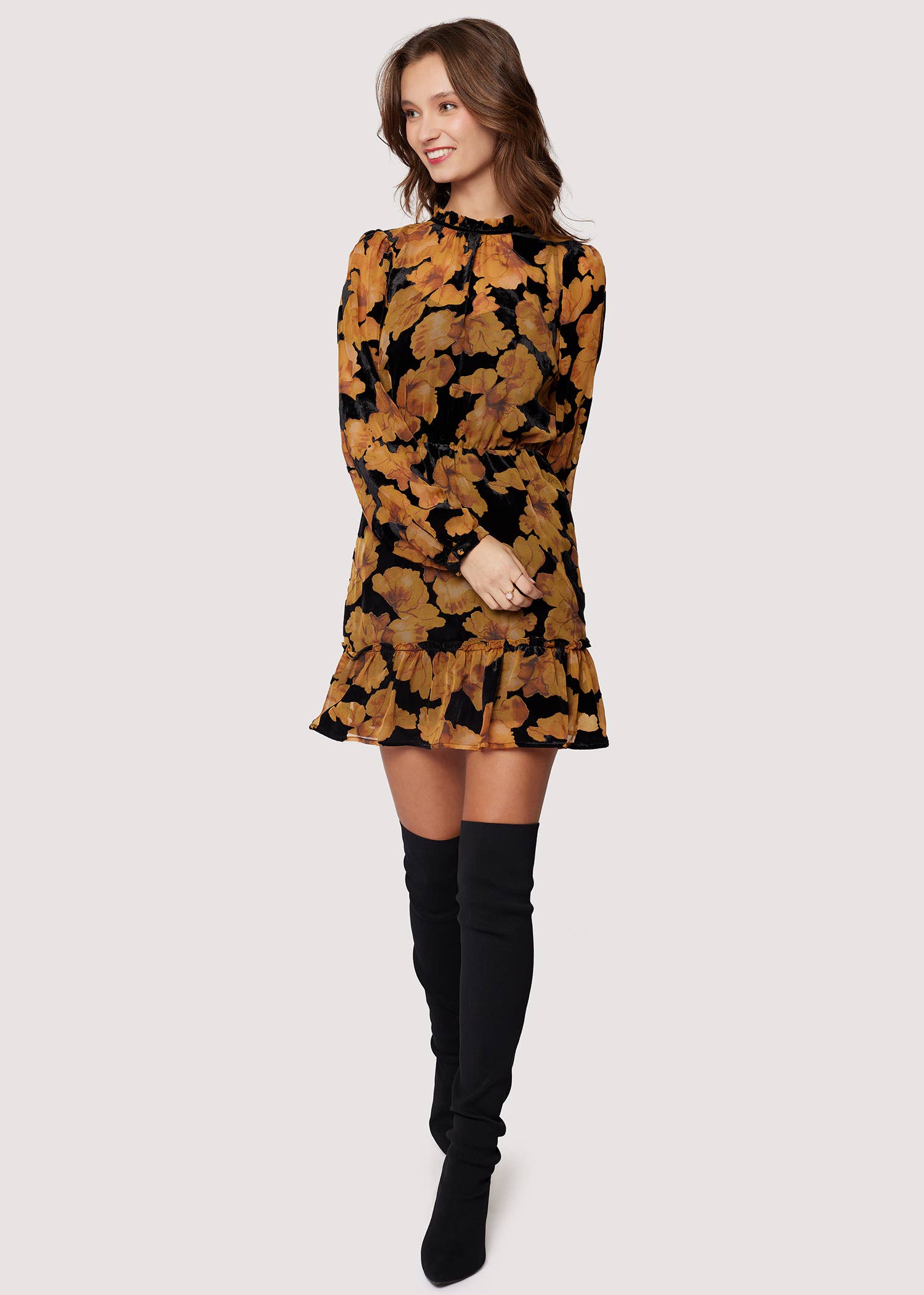 Burnout Velvet Chiffon Mini Dress