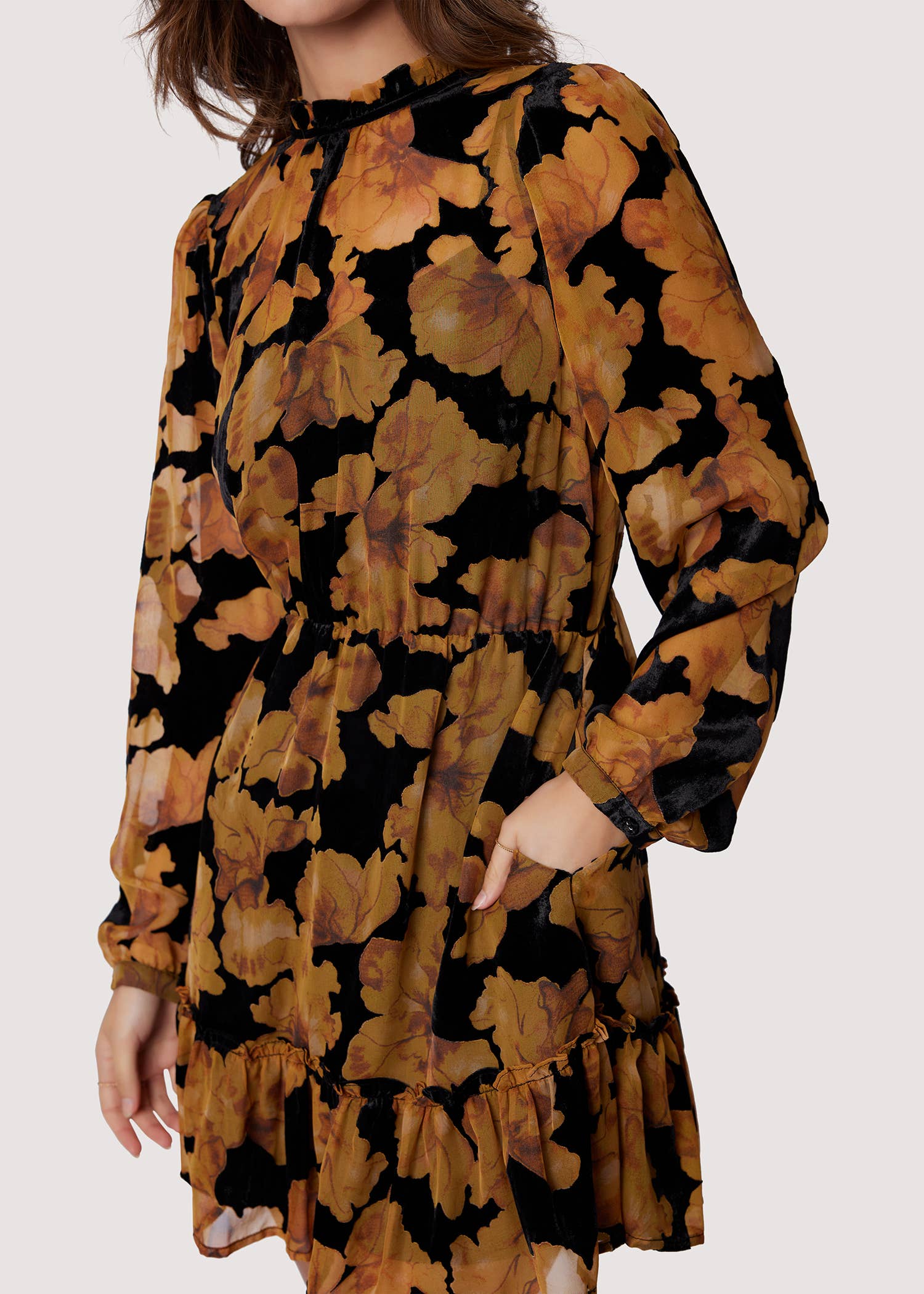 Burnout Velvet Chiffon Mini Dress
